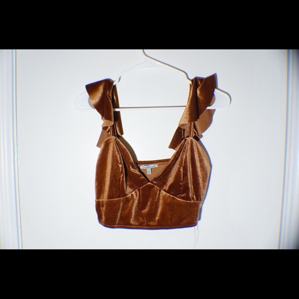 PERMANENTLY CLOSING Gold/brown crop top velvet